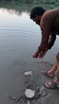 Dabra Machhali Ka Shikar | Dabra fish hunting