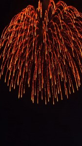 Princess, please watch the fireworks. #Romantic Night Sky #Fireworks Show | Way Lux Fireworks