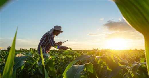 Scaling regenerative agriculture in the Netherlands | Deloitte Netherlands