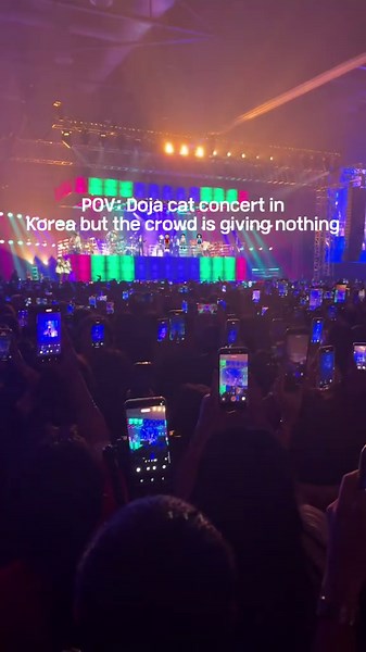 Doja Cat Concert Experience in Korea: Cultural Insights