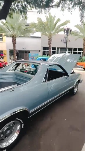 12K views · 313 reactions | Hey FELDMAN! Now Downtown Hollywood - Diego | Hollywood Beach TV | Facebook