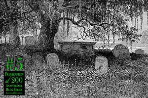 Frankenstein, Death & the Tragic Life of Mary Shelley (Anniversary Series #5)