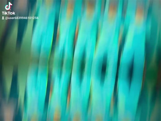 Aman jan (@aman.jan755)’s videos with original sound - Aman jan