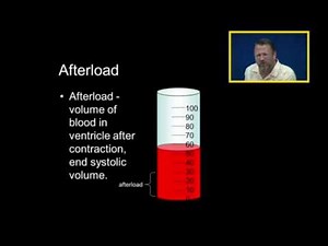 Preload Afterload and Cardiac Output
