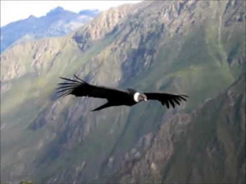 EL CONDOR PASA コンドルは飛んでいく(本場の演奏です)