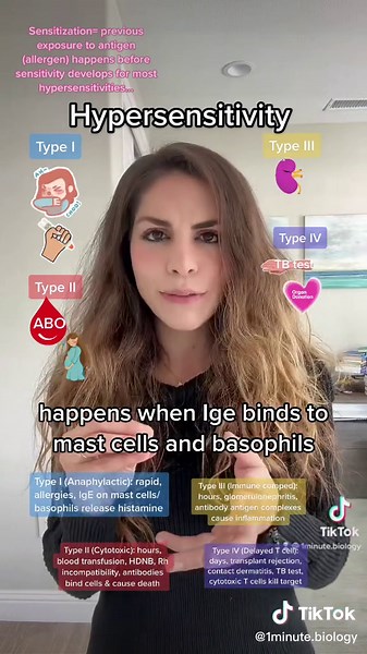 Understanding Hypersensitivity: Types and Examples