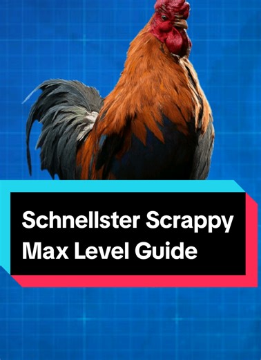 Max Level Guide for Scrappy in Arc Raiders