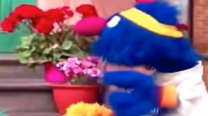 12K views · 49 reactions | Wait a minute, did #Grover just say the F-Bomb on #SesameStreet? Take a Listen and answer below, absolutely. | The Joe Padula Show | Facebook