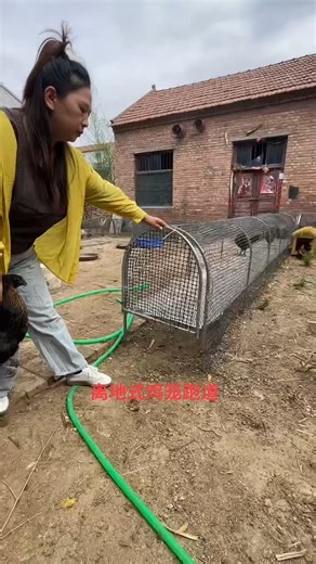 Keep Chickens Safe with This Amazing Tunnel System #chicken #chickenfeeding #smartfarming