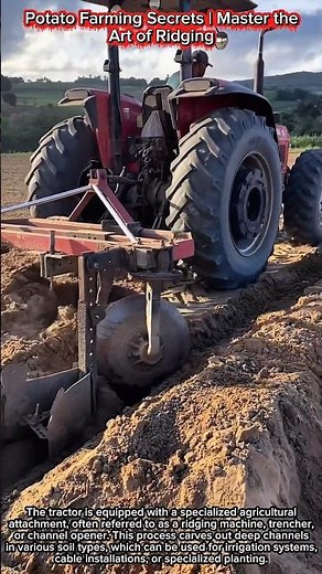Potato Farming Secrets | Master the Art of Ridging