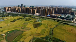 China's farmers trade land for apartments