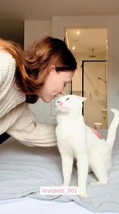 besando al gato | Overlord Store