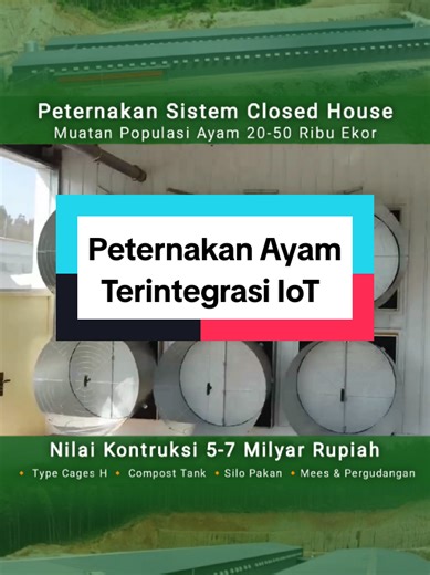 Peternakan Terintegrasi 🔥 ... Kandang sistem closed house adalah inovasi kandang ayam modern tertutup yang dirancang untuk mengontrol lingkungan secara optimal—suhu, kelembapan, dan ventilasi—menggunakan teknologi otomatis. Sistem ini memaksimalkan efisiensi produksi, mengurangi stres pada ayam akibat cuaca, meningkatkan kepadatan populasi hingga 2-3 kali lipat (14-18 ekor), dan meminimalkan penyakit. .. Yukk Beternak Bareng @farmloka Peternakan Modern ini di dukung oleh Smart Sensor e-Farm Dig