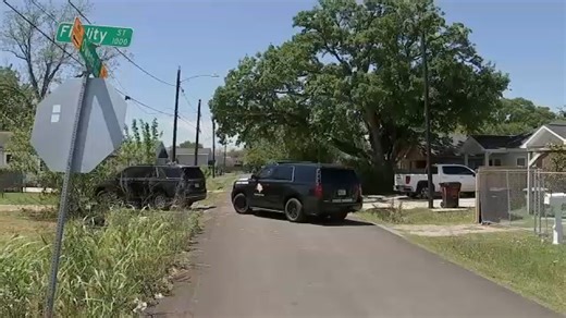 10 people arrested on gun, drug charges after FBI led multiple agencies through in east Houston's Clinton Park