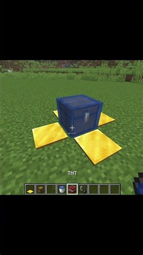 Minecraft Safest Chest 🤫 #minecraft