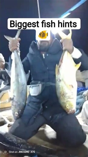 biggest fish hints 🐠🐠 #fishing #fish