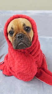 How your email found me | Howstuffworks