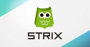 STRIX | A Server Solution for Creating Multiplayer Games