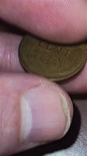 Flip Coin Flip #flipacoin #coinflip #wheatpenny