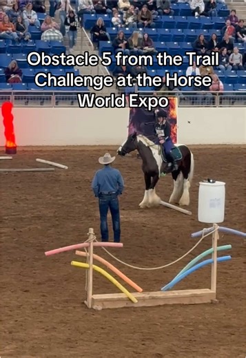 Crip walk #fyp #foryou #gypsyvanner #gypsycob #gypsyhorse #horse #horses #sidepass #thefluffyeventer