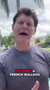 Best Dogs for Small Spaces Revealed!