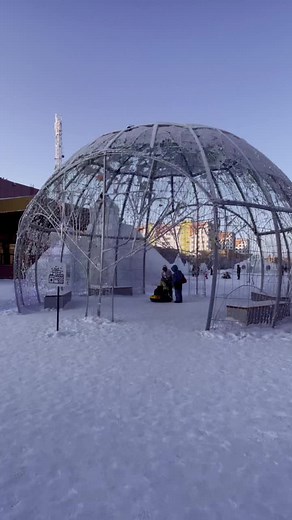 Winter Wonderland: Ice Sculptures and Festive Scenes