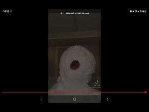 macaroni with the chicken strips (meme)