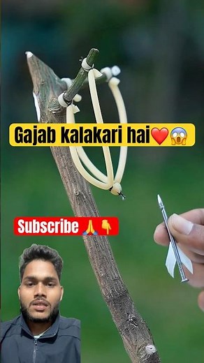 Why Bamboo is the Future of Sustainable Materials