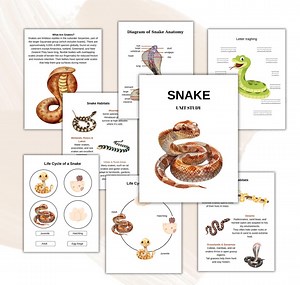 SNAKE Unit Study, Nature Study, Science, Homeschool, Montessori, Life Cycle, Anatomy, INSTANT DOWNLOAD - Etsy