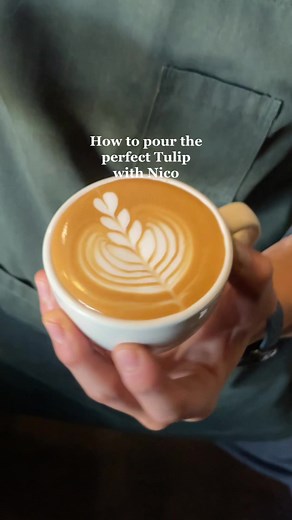 Latte art with Nico, Head Barista at the Flight Coffee Hangar ⚡️🤌 #flightcoffee #flightcoffeefamily #coffee #specialtycoffee #newzealand #newzealandcoffee #coffeeoftheday #coffeetime #espresso #filtercoffee #loveyourwork #butfirstcoffee #coffeebreak #latteart #knowwhereyourcoffeecomesfrom #coffeeinlife #coffee #supportlocal