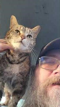 Scaredy-cat jumps up in my lap voluntarily this morning