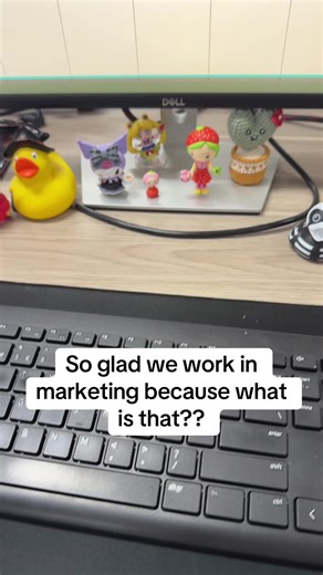 Understanding Our Devs' Contributions in SaaS