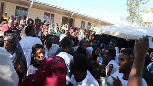 Art.. Shamizee. | Kominikeeshinii Aanaa Gursum