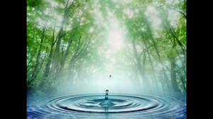 【作業用BGM】体に優しい癒しの音楽【高音質】