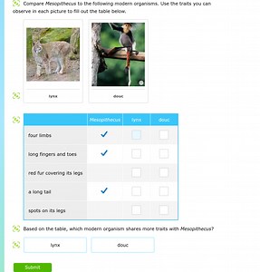 Compare Mesopithecus to the following modern organisms. Use the... | Filo