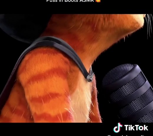 Adventure Brush Sounds with Puss in Boots ASMR