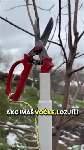 DELL (@dell59955)’s videos with original sound - DELL