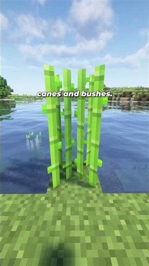 Biome Color and Tint Explained in Minecraft!