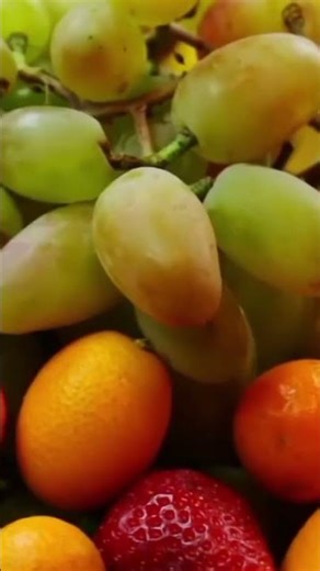Nature’s Stomach Healer: Growing the Incredible Bael Tree