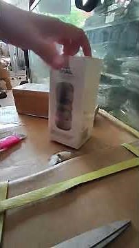 #Unboxing #snailcup Unboxing snailcup white version an*L , enjoy! Link pembelian cek deskripsi ya!