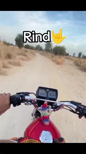 Understanding Home Slaughtering Practices for Cattle