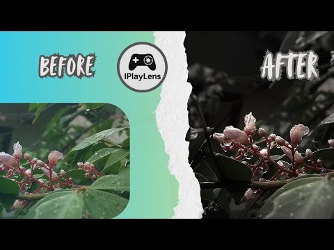 Snapseed mobile photo editing 💚