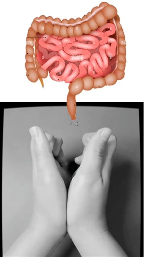 3.8M views · 50K reactions | Clapping Excersise For Health | Healing Therapy | Facebook