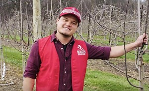 HOW TO PRUNE AN APPLE TREE - Blake's Hard Cider