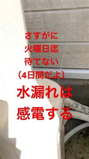【水漏れ、続き2】バルブを閉めようと思ったが…。 #エコキュート #水漏れ #掃除も必要