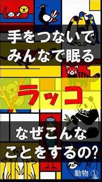 【見張りのいない防衛網】ラッコが手をつないで眠る理由と、全滅しないための知恵 #shorts #雑学 #ラッコ
