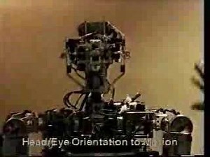 COG robot head/eye coordination