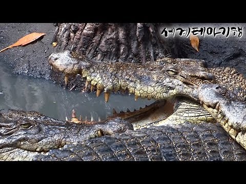 (Eng) [세계테마기행] 인도차이나 별천지 베트남, 1~4부