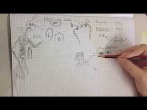 Adrenoceptor function in noradrenalin