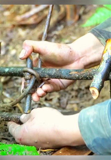 #EPS004 The Giant Python Returned to My Shelter | Wild Boars Trapped in Survival Alone #survivalskills #bushcraft #naturelife